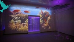 Проекционный дизайн виртуальной реальности Расширеный пакет - fgospostavki.ru - Белгород