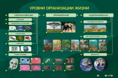 Электрифицированный стенд "Уровни организации жизни" - fgospostavki.ru - Белгород