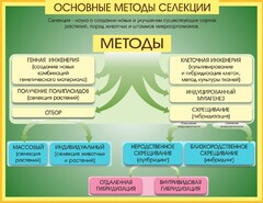 Стенд "Методы селекции и биотехнологии" - fgospostavki.ru - Белгород