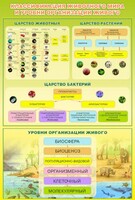 Стенд "Классификация животного мира" - fgospostavki.ru - Белгород