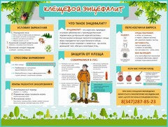 Стенд "Клещевой энцефалит" - fgospostavki.ru - Белгород