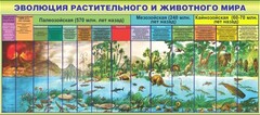 Стенд "Эволюция растительного и животного мира" - fgospostavki.ru - Белгород