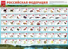 Стенд "Красная книга РФ" - fgospostavki.ru - Белгород