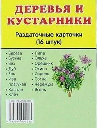Раздаточные карточки "Деревья и кустарники" - fgospostavki.ru - Белгород