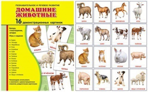 Демонстрационные карточки "Домашние животные" - fgospostavki.ru - Белгород