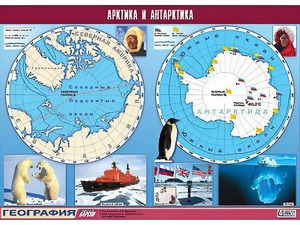 Таблица демонстрационная "Арктика и Антарктика" (винил 100*140) - fgospostavki.ru - Белгород
