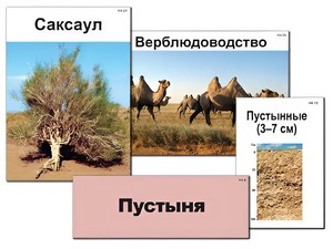 Модель-аппликация "Природные зоны России" (ламинированная) - fgospostavki.ru - Белгород