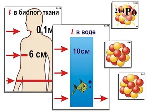Модель-аппликация "Явление радиоактивности" (ламинированная) - fgospostavki.ru - Белгород