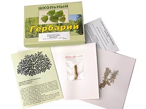 Гербарий "Водоросли. Грибы. Лишайники" (раздаточный) - fgospostavki.ru - Белгород