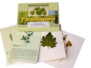Гербарий "Систематика растений. Высшие споровые и семенные" (раздаточный) - fgospostavki.ru - Белгород