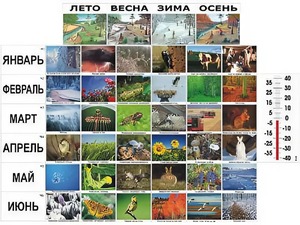 Фенологические наблюдения - fgospostavki.ru - Белгород