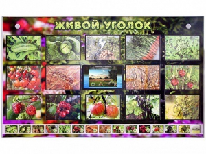 Комплект оборудования "Живой уголок" (растения) с тифлопереводом и сурдокомментариями - fgospostavki.ru - Белгород
