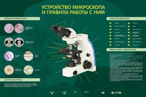 Электрифицированный стенд "Устройство микроскопа и правила работы c ним" - fgospostavki.ru - Белгород