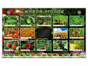 Комплект оборудования "Живой уголок" (растения) - fgospostavki.ru - Белгород