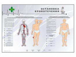 Электрифицированный стенд "Остановка кровотечения" - fgospostavki.ru - Белгород