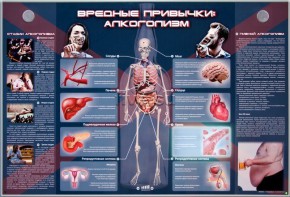 Электрифицированный стенд "Вредные привычки: алкоголизм" - fgospostavki.ru - Белгород