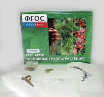 Гербарий "Основные группы растений" (52 листа) - fgospostavki.ru - Белгород