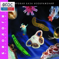 Биология. Микрофотографии. (Цифровая база изображений) - fgospostavki.ru - Белгород