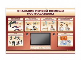 Многофункциональный интерактивный стенд-тренажер "Оказание первой помощи пострадавшим" для учащихся общеобразовательных учреждений - fgospostavki.ru - Белгород
