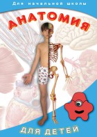 DVD "Анатомия для детей" - fgospostavki.ru - Белгород