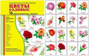 Демонстрационные карточки "Цветы садовые" - fgospostavki.ru - Белгород