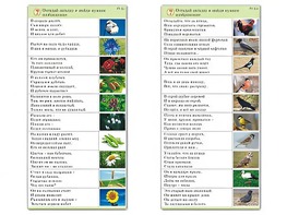 Комплект карточек (10) "Обучающий калейдоскоп. Природа" - fgospostavki.ru - Белгород