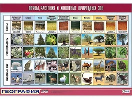 Таблица демонстрационная "Почвы, растения и животные природных зон" (винил 70*100) - fgospostavki.ru - Белгород