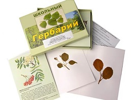 Гербарий "Систематика растений. Семейство Розоцветные" (раздаточный) - fgospostavki.ru - Белгород