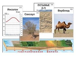 Модель-аппликация "Природные зоны" - fgospostavki.ru - Белгород