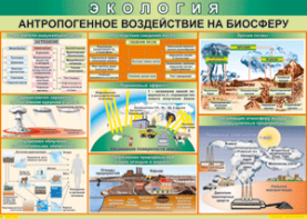 Таблица "Антропогенное воздействие на биосферу" (100х140 сантиметров, винил) - fgospostavki.ru - Белгород