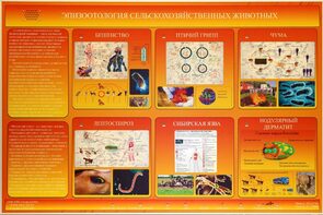 Электрифицированный стенд «Эпизоотология сельскохозяйственных животных» - fgospostavki.ru - Белгород
