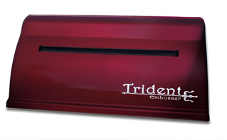 Принтер для печати рельефно-точечным шрифтом Брайля Trident - fgospostavki.ru - Белгород