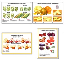 Плакаты ПРОФТЕХ "Ассортимент овощных культур" (12 пл, винил, 70х100) - fgospostavki.ru - Белгород