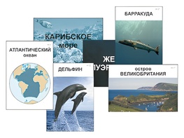 Модель-аппликация "Океаны. Знакомство" (ламинированная) - fgospostavki.ru - Белгород