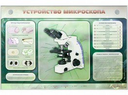 Электрифицированный стенд "Устройство микроскопа и правила работы c ним" - fgospostavki.ru - Белгород