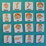 Набор карточек "Части тела" - fgospostavki.ru - Белгород