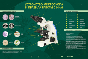 Электрифицированный стенд "Устройство микроскопа и правила работы c ним" - fgospostavki.ru - Белгород