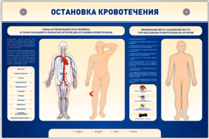 Электрифицированный стенд-тренажер "Остановка кровотечения" - fgospostavki.ru - Белгород