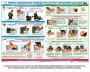 Комплект плакатов "Оказание первой доврачебной медицинской помощи" - fgospostavki.ru - Белгород