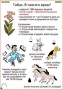 Комплект кодотранспарантов "Ядовитые растения" - fgospostavki.ru - Белгород