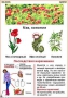Комплект кодотранспарантов "Ядовитые растения" - fgospostavki.ru - Белгород